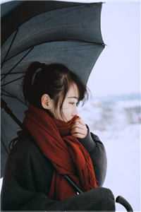 福宝勇闯七零，村霸爹操碎了心目录