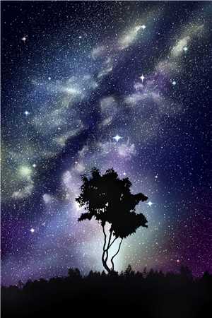 戏外沦陷全章阅读