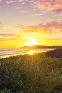 妈妈错信双胞胎姐姐心声后，我选择不出生了完结文