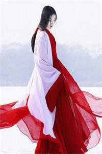 霜雪覆星辰广告+结局