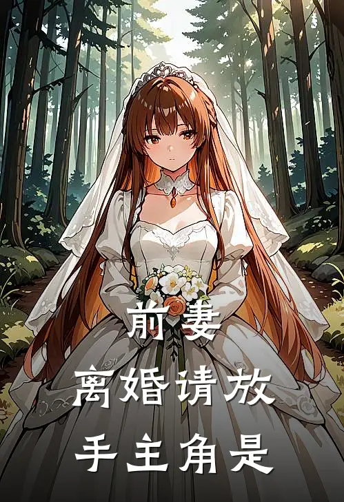 前妻,离婚请放手主角是
