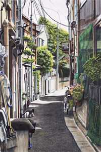 迎娶截瘫不孕京圈小公主后，她们三个急了爆火全网