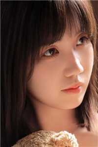 梧桐遗落在晚风尽头全集