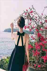 穿书万人迷：男主们为我痴狂完整阅读