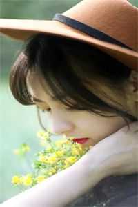 南柯覆不见经年爆款宝藏