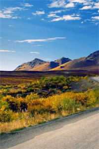 招惹，被疯批兄弟圈占了全章阅读