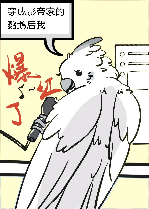 畅销小说女总裁的贴身阴阳先生