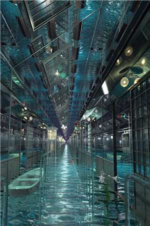 繁星夜的再见后续+结局