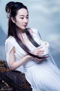 繁花一梦，爱似指间云无删减全文