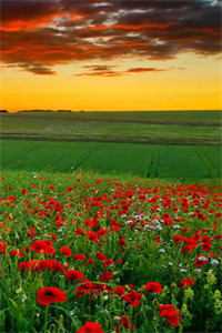 我虚构的假员工，竟半夜出了事故抖音