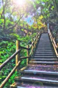 装傻充愣？我靠系统闷声发大财李桂香孟大牛番外