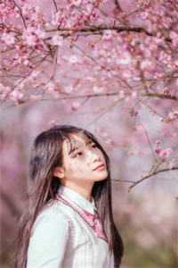 半熟京婚已完结版