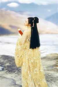 曾是惊鸿照影来姜云梦沈长暮小说