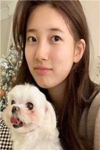 一叹落雪赴春风小说大结局