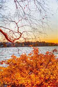 爱意死在春风里短篇