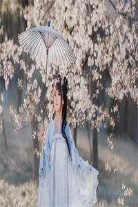 我不是灾星，是能带来好运的小福宝推荐