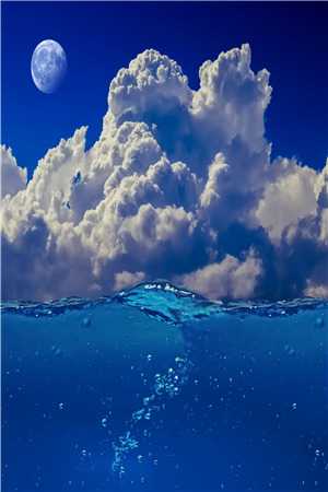 月下清棠落无声结局+番外