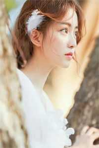 风已阑珊全章节阅读