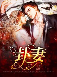 霆惊长梦，此心安处小说免费阅读