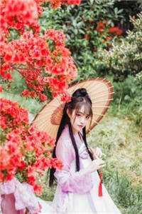 不敢至一座旧城温芙蕖宋清晏后续+全文