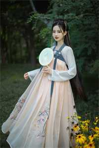 岁岁不相见全文章节