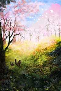 他的爱，带着谎言陆淮沈可无删减全文