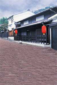 春红凋尽，此恨经年完结+番外