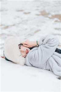 霜雪覆星辰完整阅读