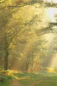 女友妈怀孕后，我暴富了小说结局