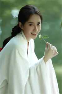 穿越古代，我在战场娶妻成瘾阅读