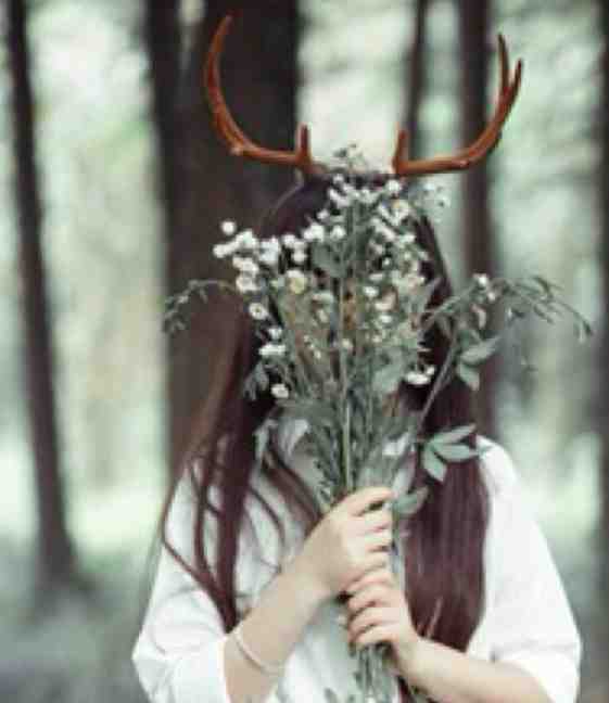 风雪经年梦已醒全文+免费