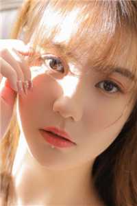 智者不入爱河目录