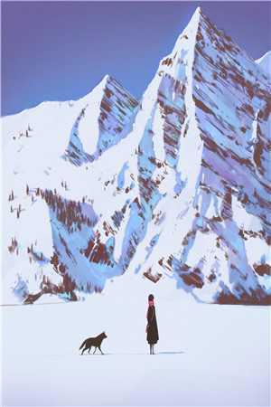 霜雪覆星辰后续+全文