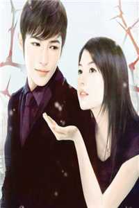 回忆赠你，自由赠我谢京禹鹿栀柠番外