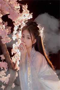 别时唯有月胧明目录