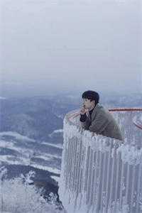 南风未起，念你成疾by