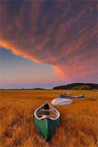 妈妈为避嫌只收养弟进公司，我秉公执法他们又不乐意了林薇薇乔应年小说结局