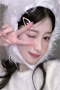 夕落鸿雁送云书短篇