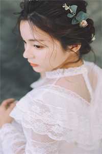 江上晚吟风最新章节